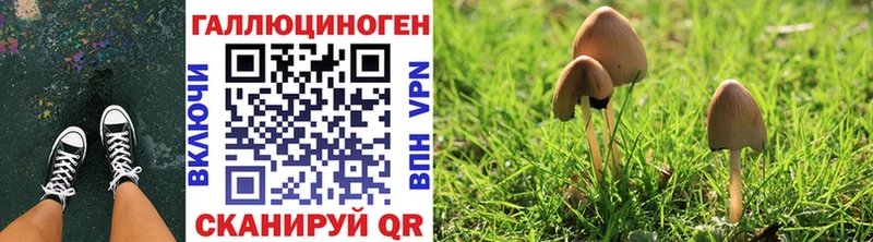 Псилоцибиновые грибы мухоморы  Великие Луки 