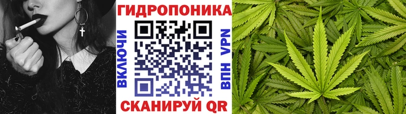 Каннабис конопля  где купить наркоту  Великие Луки 